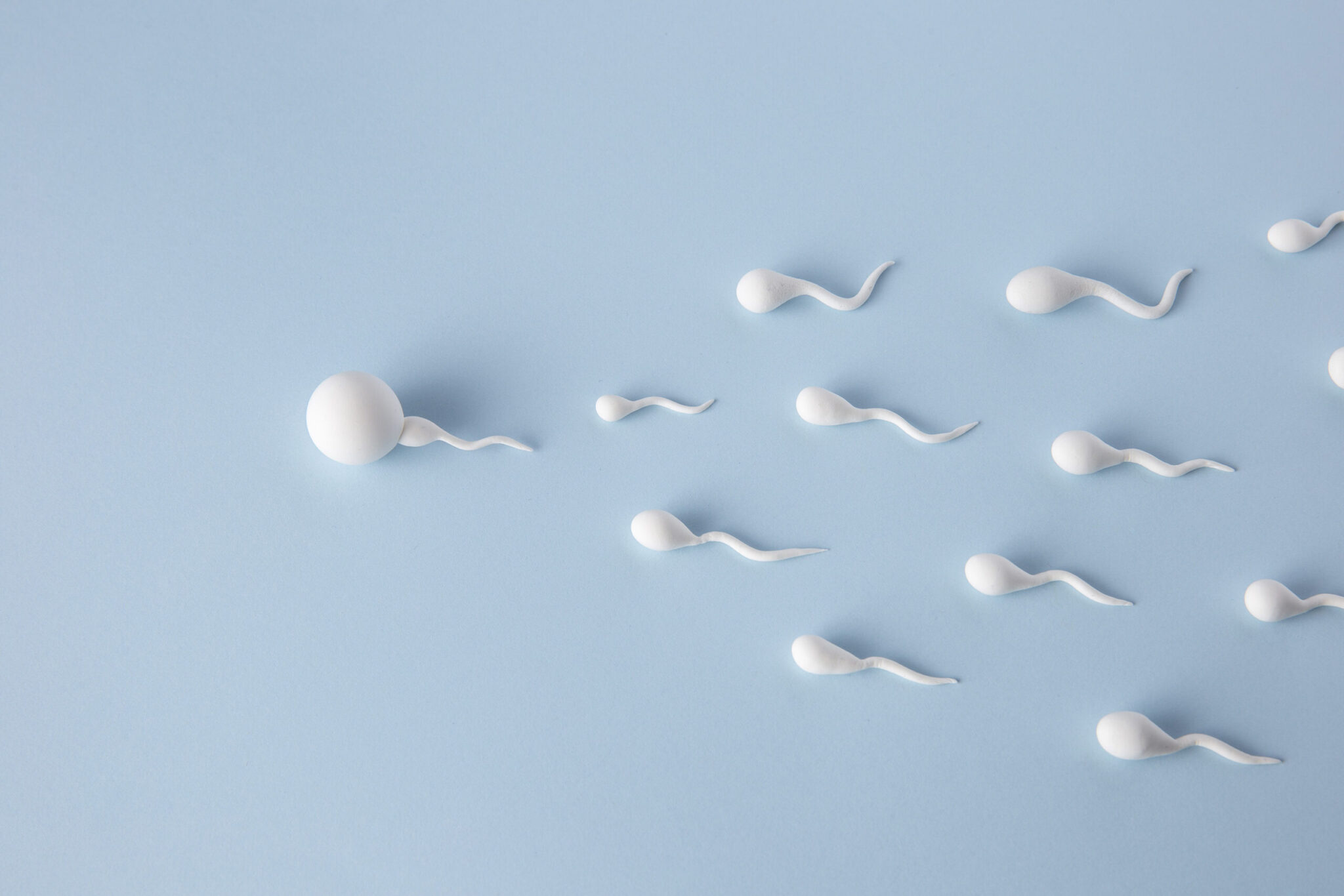 Spermatogram, nemzőképességi vizsgálat