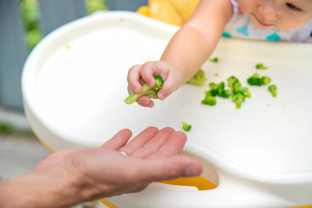 Hozzátáplálás speciális kérdései tanácsadás: csecsemőkori táplálékallergiák, hozzátáplálási irányzatok, BLW (baby-led weaning)